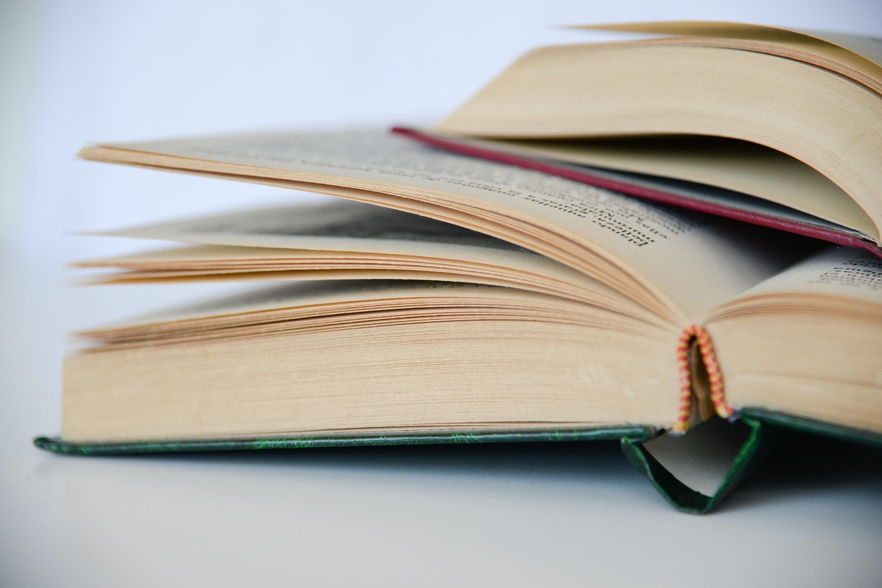 office, consultation, secretary, books, read, reading, reader, culture, library, the books, antiquity, open book, old books, education, chapter, school, tale, to study, academic